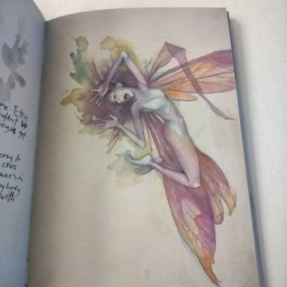 Lady Cottington's Pressed Fairy Journal Hardcover Book Raincoast Books 1998 - Picture 7 of 10